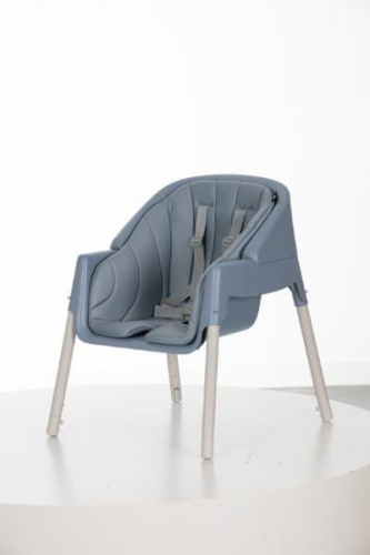     Evenflo Trilo  3  1  20