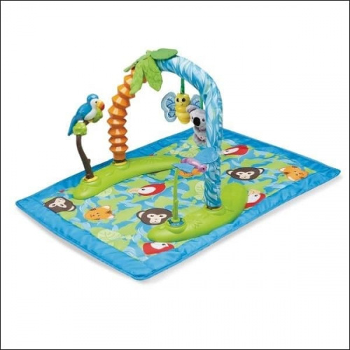   Evenflo  ExerSaucer  24